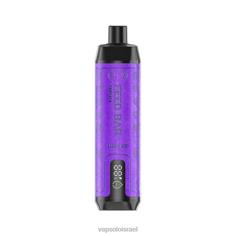 VapSolo SHISHA ואפי חד פעמי קרח שופע H24ZV8 - Vapsolo Vape